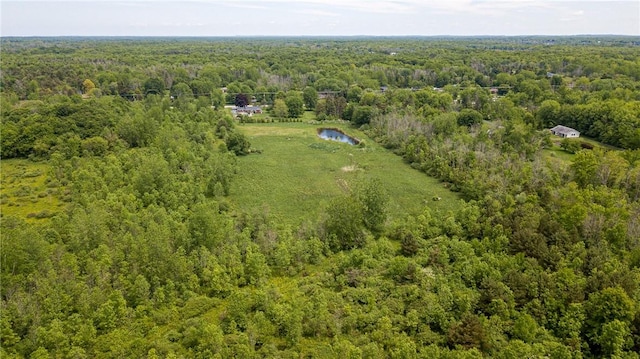 467 County Line Rd, Webster, NY 14519