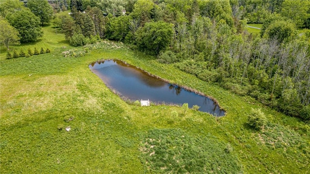 467 County Line Rd, Webster, NY 14519