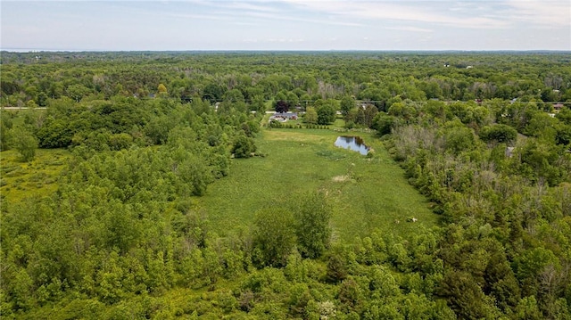 467 County Line Rd, Webster, NY 14519