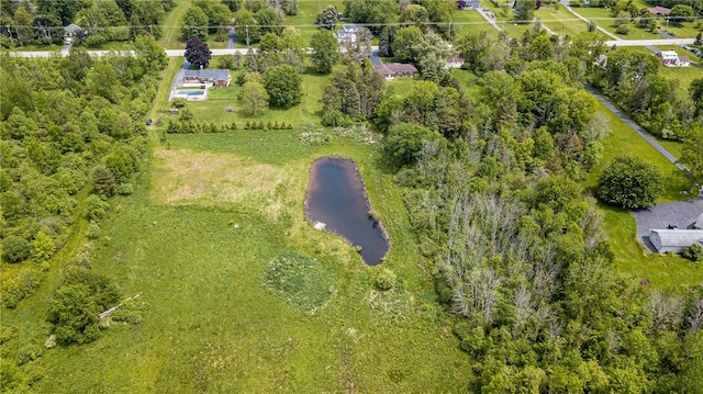 467 County Line Rd, Webster, NY 14519