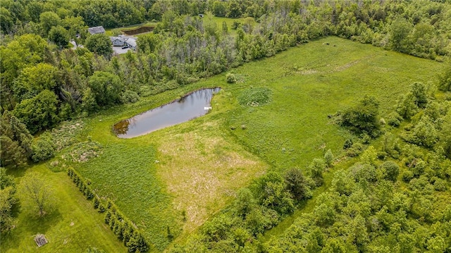 467 County Line Rd, Webster, NY 14519