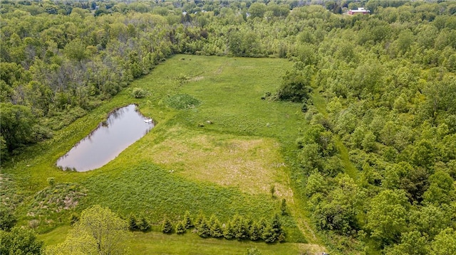 467 County Line Rd, Webster, NY 14519