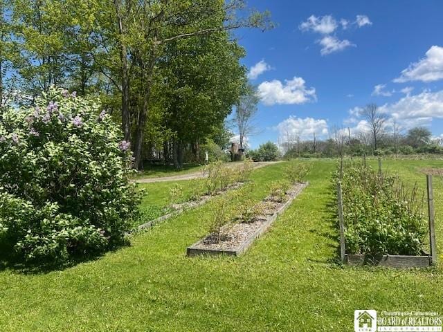 10353 Rogers Rd, Centerville, NY 14735 - photo 5