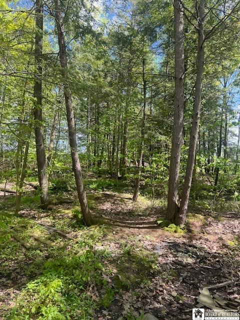 10353 Rogers Rd, Centerville, NY 14735 - photo 48