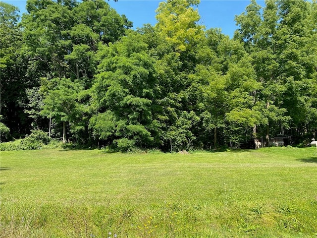 25 N Academy St, Middlebury, NY 14591 - view of grassy yard