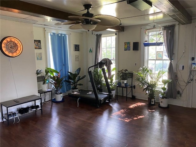 25 N Academy St, Middlebury, NY 14591 - workout area featuring a ceiling fan and wood finished floors