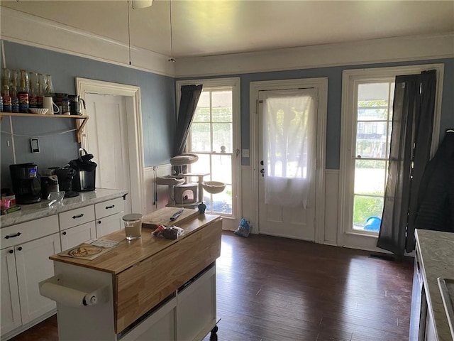 25 N Academy St, Middlebury, NY 14591 - foyer with a wainscoted wall, dark wood-style floors, and a decorative wall