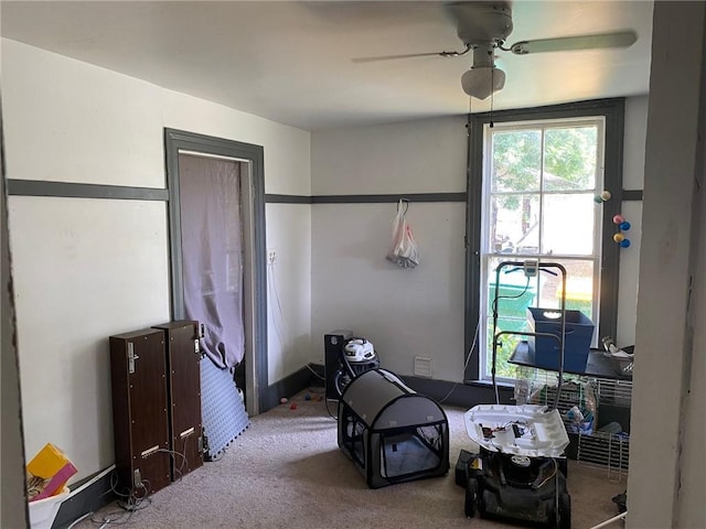 25 N Academy St, Middlebury, NY 14591 - bedroom featuring carpet and a ceiling fan