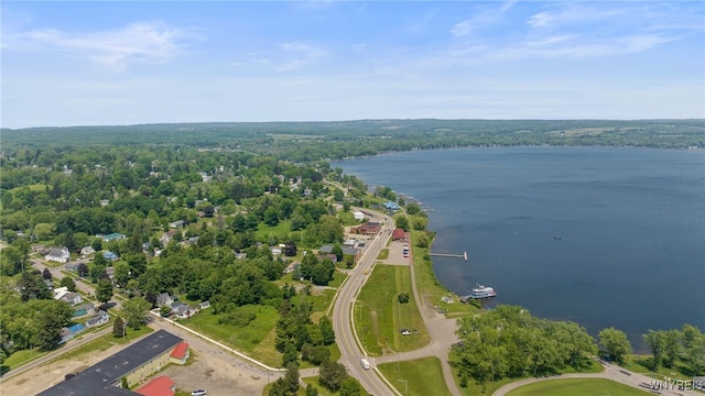 74 Water St, Chautauqua, NY 14757 - photo 3
