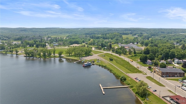 74 Water St, Chautauqua, NY 14757 - photo 4