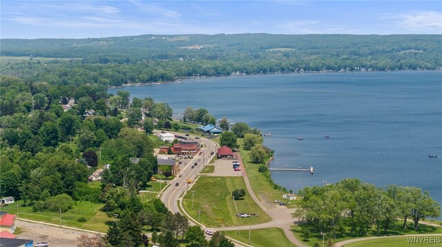 74 Water St, Chautauqua, NY 14757 - photo 11