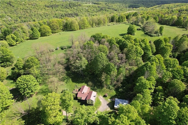 326 Park Hill Rd, Erin, NY 14838 - photo 1