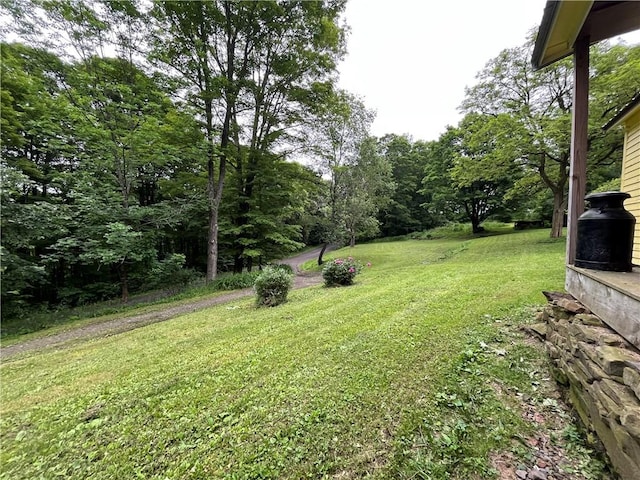 326 Park Hill Rd, Erin, NY 14838 - photo 5
