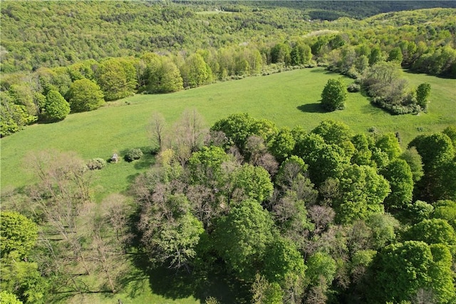 326 Park Hill Rd, Erin, NY 14838 - photo 8