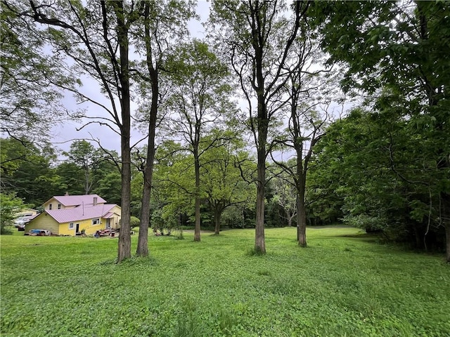 326 Park Hill Rd, Erin, NY 14838 - photo 9