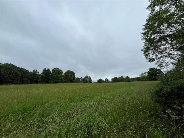 326 Park Hill Rd, Erin, NY 14838 - photo 24