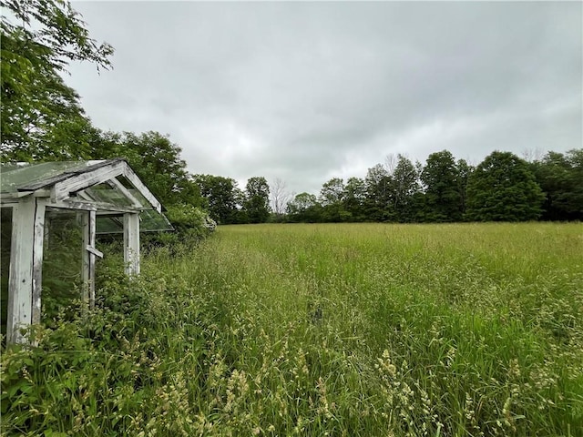326 Park Hill Rd, Erin, NY 14838 - photo 25