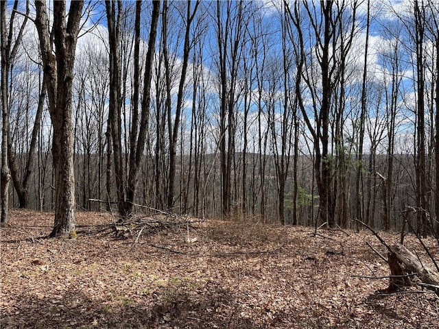 326 Park Hill Rd, Erin, NY 14838 - photo 28