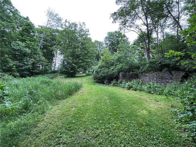 326 Park Hill Rd, Erin, NY 14838 - photo 37