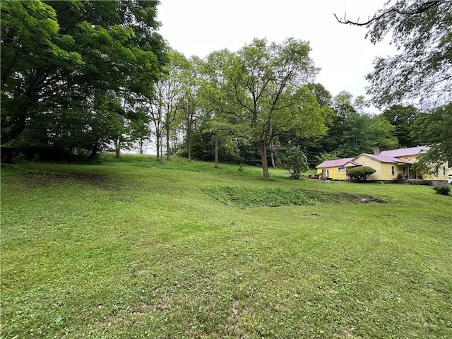 326 Park Hill Rd, Erin, NY 14838 - photo 38