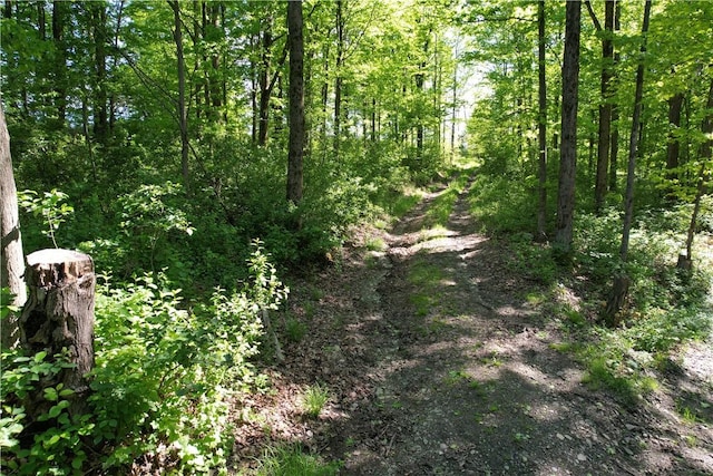326 Park Hill Rd, Erin, NY 14838 - photo 35