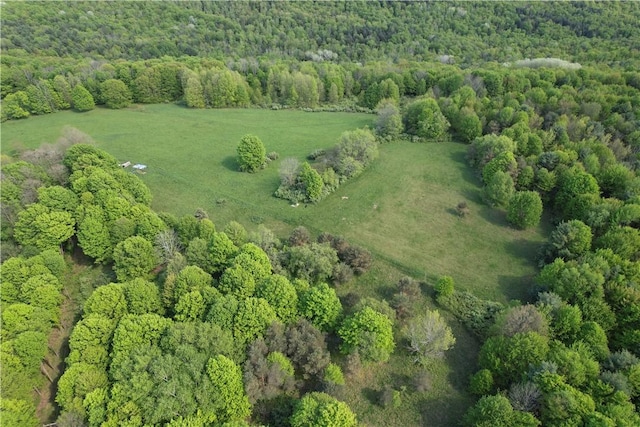 326 Park Hill Rd, Erin, NY 14838 - photo 39