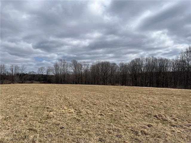 326 Park Hill Rd, Erin, NY 14838 - photo 41