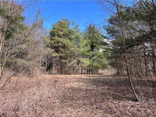 326 Park Hill Rd, Erin, NY 14838 - photo 42