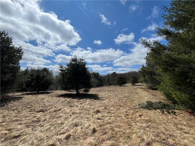 326 Park Hill Rd, Erin, NY 14838 - photo 46