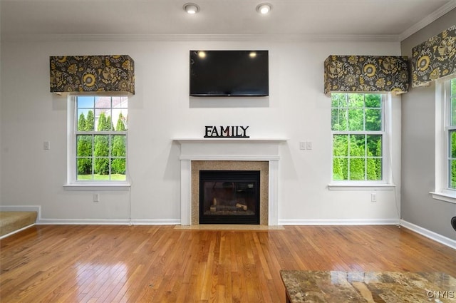 8278 Luchsinger Ln, Lysander, NY 13027 - unfurnished living room with crown molding, wood-type flooring, and a fireplace with flush hearth