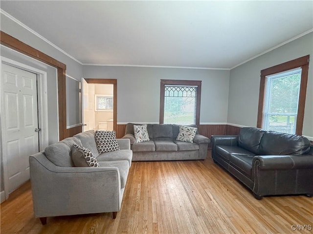 22 Frank St, Cortland, NY 13045 - living room with wainscoting, light wood finished floors, crown molding, and wooden walls