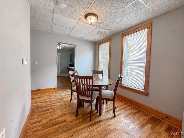 72 Groton Ave, Cortland, NY 13045 - dining space featuring a paneled ceiling, light wood-type flooring, and ceiling fan