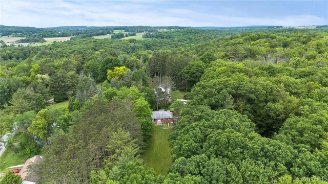 7399 Centerville Rd, Caneadea, NY 14744 - photo 38