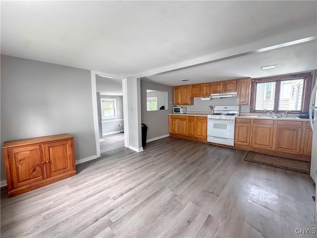 73 Groton Ave Unit 69-71, Cortland, NY 13045 - kitchen with white appliances, light countertops, under cabinet range hood, and light wood finished floors