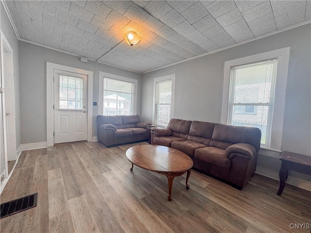 73 Groton Ave Unit 69-71, Cortland, NY 13045 - living area featuring crown molding and light wood finished floors