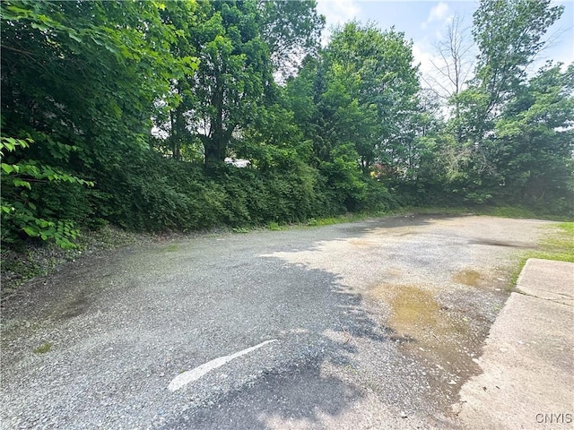 73 Groton Ave Unit 69-71, Cortland, NY 13045 - view of street