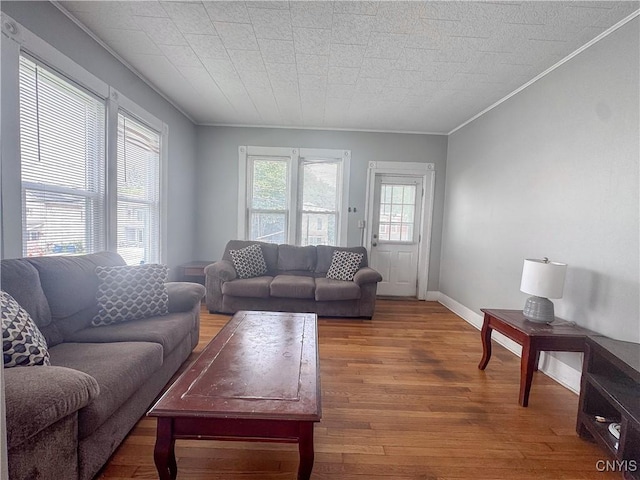 73 Groton Ave Unit 69-71, Cortland, NY 13045 - living area featuring crown molding and wood finished floors