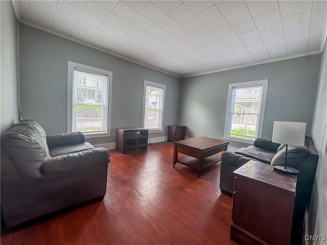 66 Groton Ave, Cortland, NY 13045 - living room with crown molding and wood finished floors