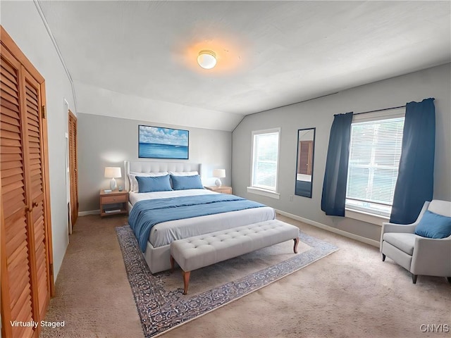 66 Groton Ave, Cortland, NY 13045 - bedroom with carpet floors and lofted ceiling