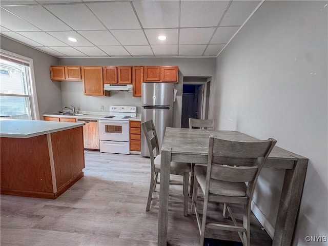 63 Groton Ave, Cortland, NY 13045 - kitchen with stainless steel appliances, under cabinet range hood, light wood-style flooring, light countertops, and a drop ceiling
