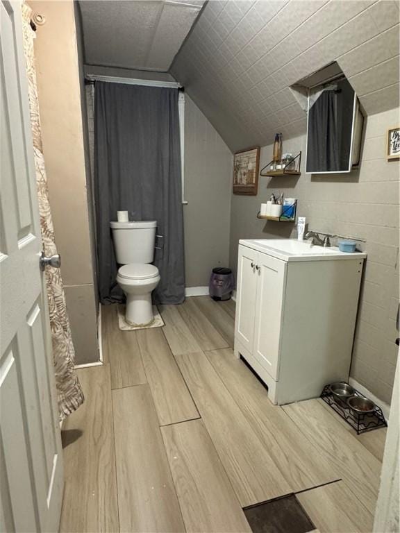 280 Ave D, Rochester, NY 14621 - full bathroom featuring vanity, wood finished floors, and lofted ceiling