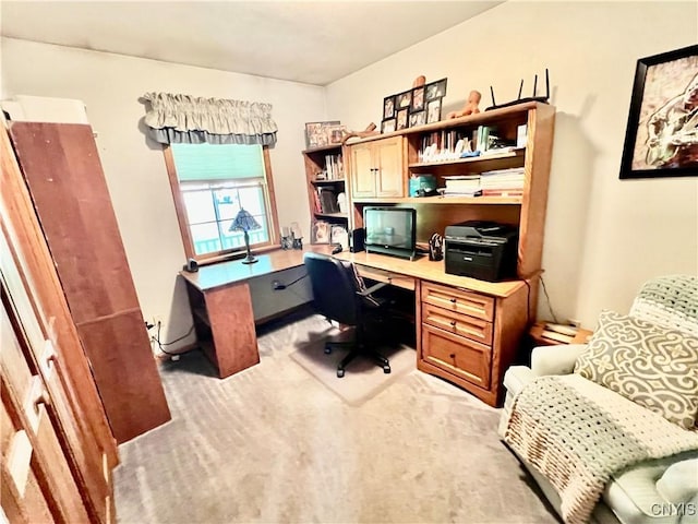 2 Whitetail Cir, Oswego-City, NY 13126 - office featuring light colored carpet