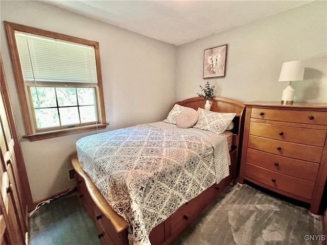 2 Whitetail Cir, Oswego-City, NY 13126 - bedroom with dark carpet