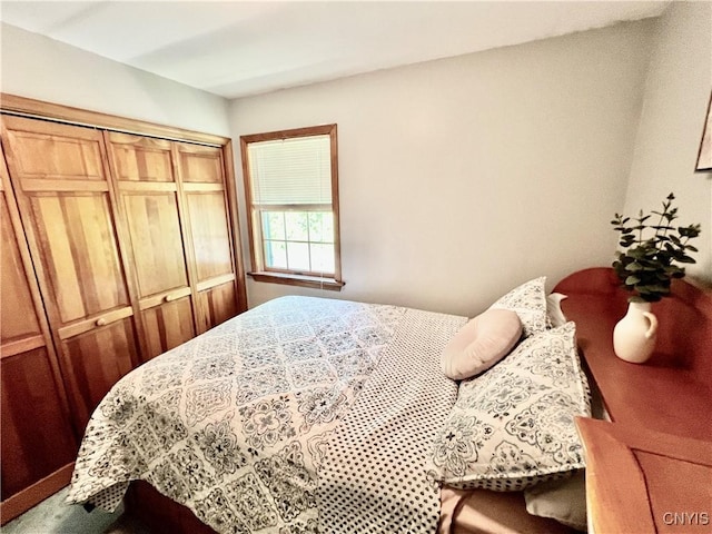 2 Whitetail Cir, Oswego-City, NY 13126 - bedroom featuring a closet and carpet