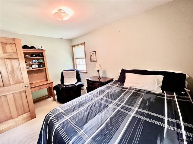 2 Whitetail Cir, Oswego-City, NY 13126 - view of carpeted bedroom