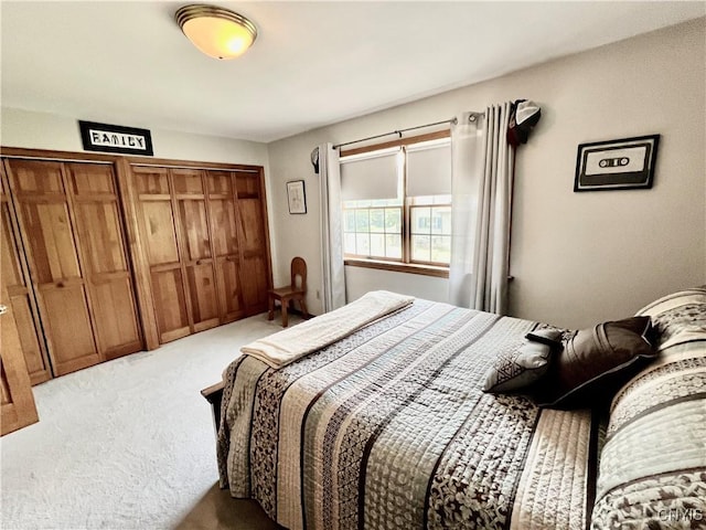 2 Whitetail Cir, Oswego-City, NY 13126 - carpeted bedroom featuring a closet