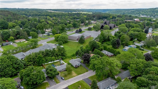 368 Northfield Way, Camillus, NY 13031 - aerial view of residential area featuring a heavily wooded area