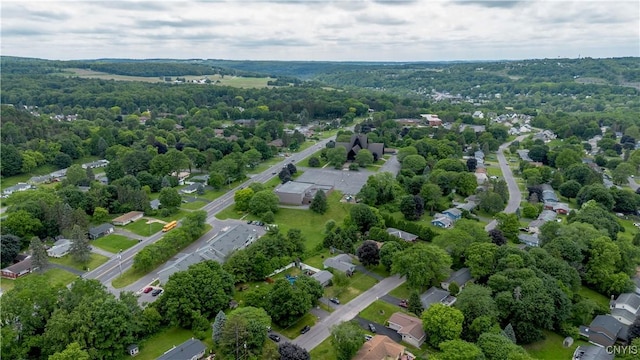 368 Northfield Way, Camillus, NY 13031 - bird's eye view