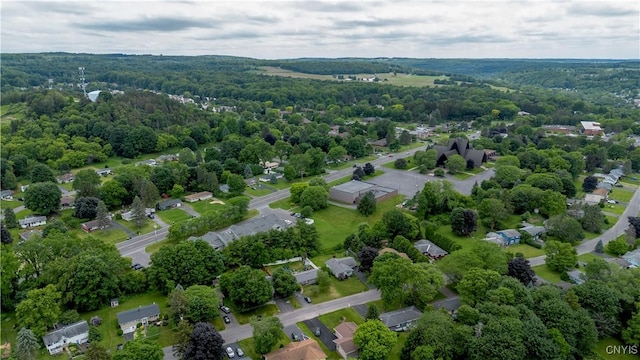 368 Northfield Way, Camillus, NY 13031 - bird's eye view of a heavily wooded area
