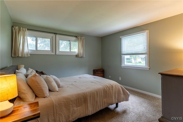 368 Northfield Way, Camillus, NY 13031 - carpeted bedroom with multiple windows